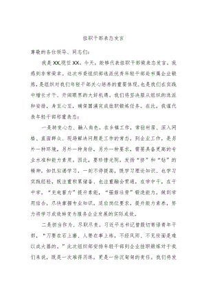 挂职干部表态发言.docx