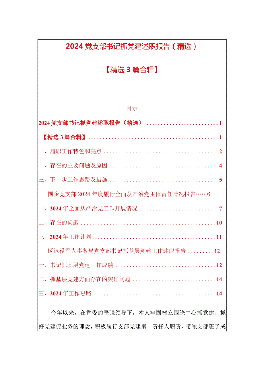 2024党支部书记抓党建述职报告（精选）.docx_第1页