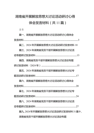 （11篇）湖南省开展解放思想大讨论活动研讨心得体会发言材料完整版.docx