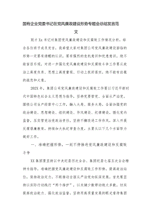 国有企业党委书记在党风廉政建设形势专题会总结发言范文.docx