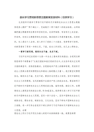 县长学习贯彻新思想主题教育发言材料.docx