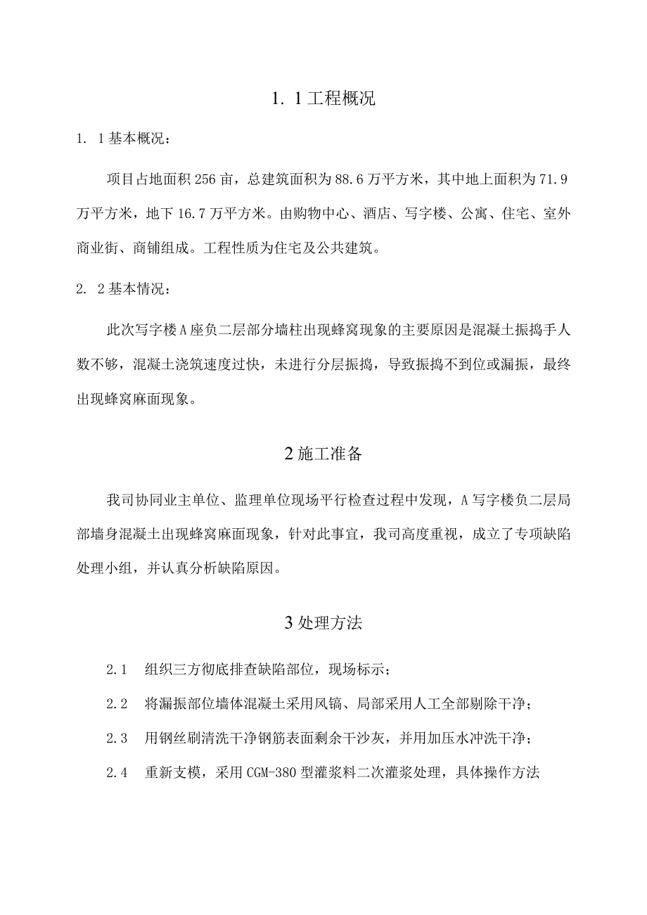 墙身缺陷处理专项施工方案.docx_第3页