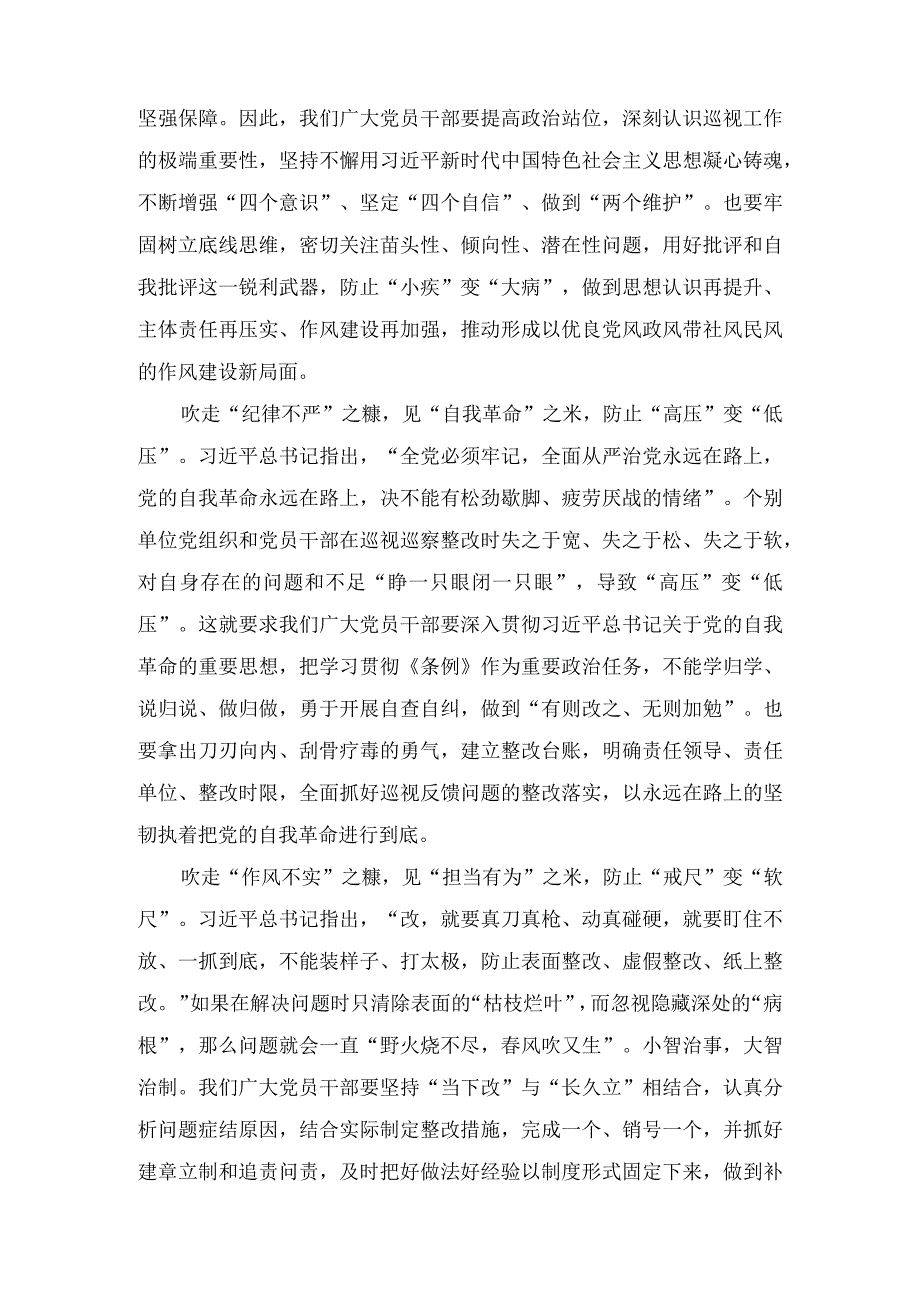 2024年学习新修订后的《中国共产党巡视工作条例》心得体会研讨发言材料三篇.docx_第3页