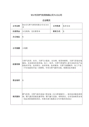 XX市天然气利用有限公司X分公司企业概况（2024年）.docx