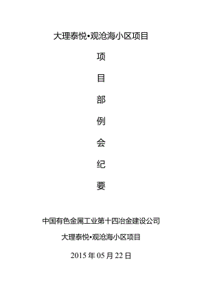 项目部例会纪要2015-05-22 -.docx