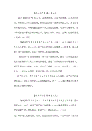 骆驼祥子阅读笔记简单.docx