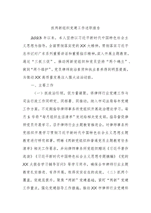 XX市司法局2023年抓两新组织党建工作述职报告.docx