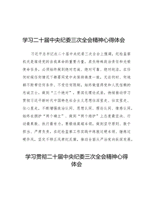 二十届中央纪委三次全会心得体会十九篇.docx