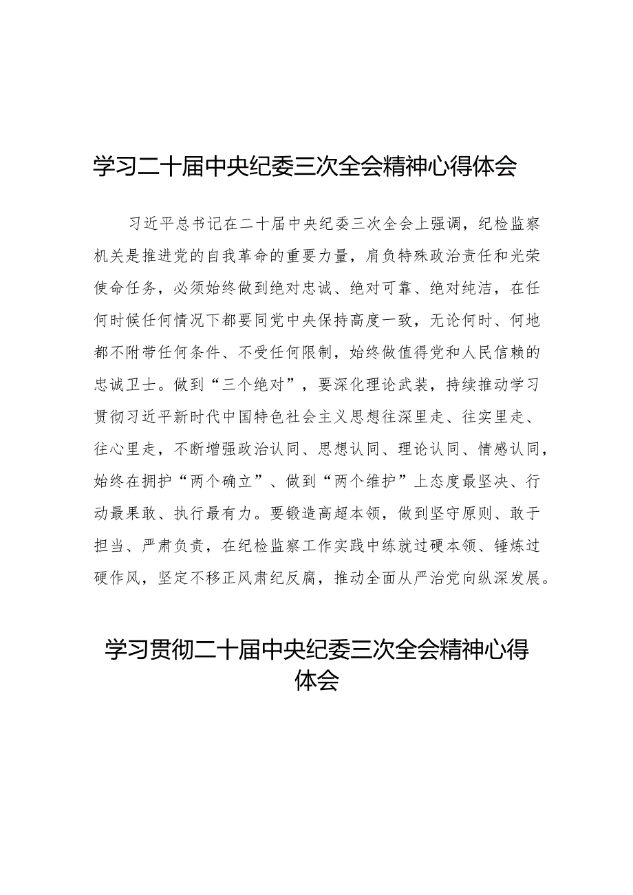 二十届中央纪委三次全会心得体会十九篇.docx_第1页