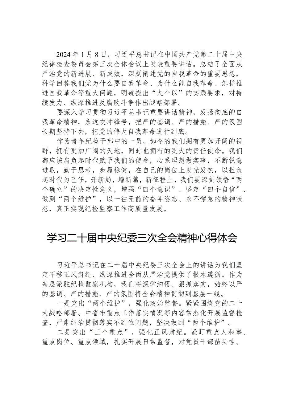 二十届中央纪委三次全会心得体会十九篇.docx_第2页