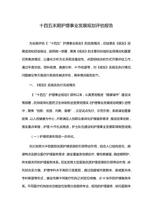 十四五末期护理事业发展规划评估报告.docx