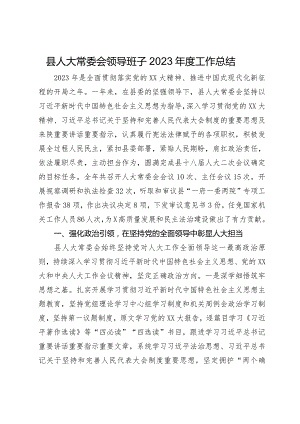 县人大常委会领导班子2023年度工作总结.docx