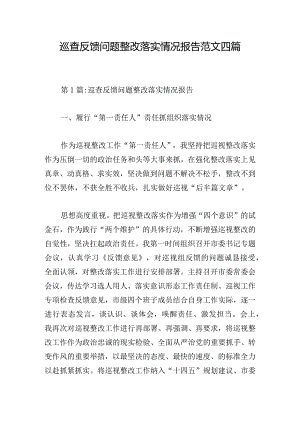 巡查反馈问题整改落实情况报告范文四篇.docx