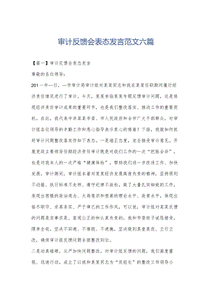 审计反馈会表态发言范文六篇.docx