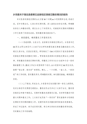 乡党委关于落实县委第五巡察组反馈意见整改情况的报告.docx