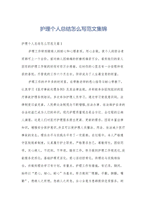 护理个人总结怎么写范文集锦.docx