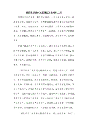 解放思想振兴发展研讨发言材料二篇.docx