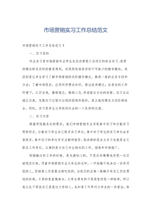 市场营销实习工作总结范文.docx