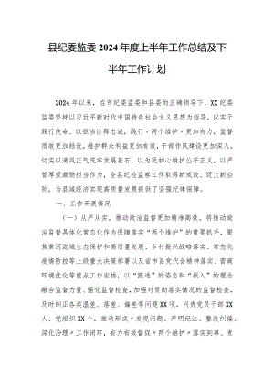 县纪委监委2024年度上半年工作总结及下半年工作计划.docx