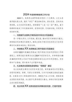 2024年县商务粮食局工作计划.docx