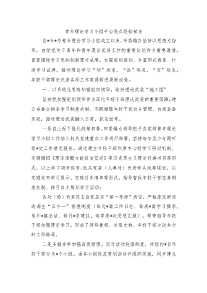 青年理论学习小组平台亮点经验做法.docx