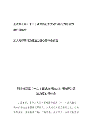 刑法修正案（十二）正式施行加大对行贿行为惩治力度心得体会+加大对行贿行为惩治力度心得体会发言.docx