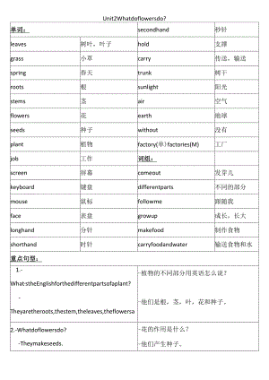 Unit 2 重点单词及句型总结.docx