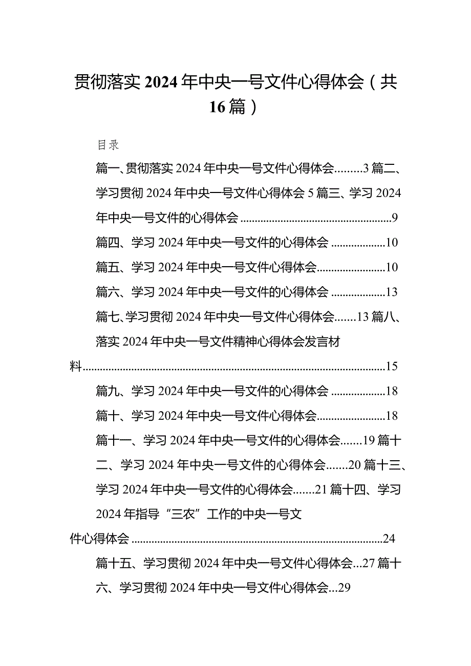 贯彻落实2024年中央一号文件心得体会16篇（详细版）.docx_第1页