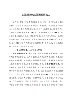 在经济统战工作会议上的汇报发言.docx