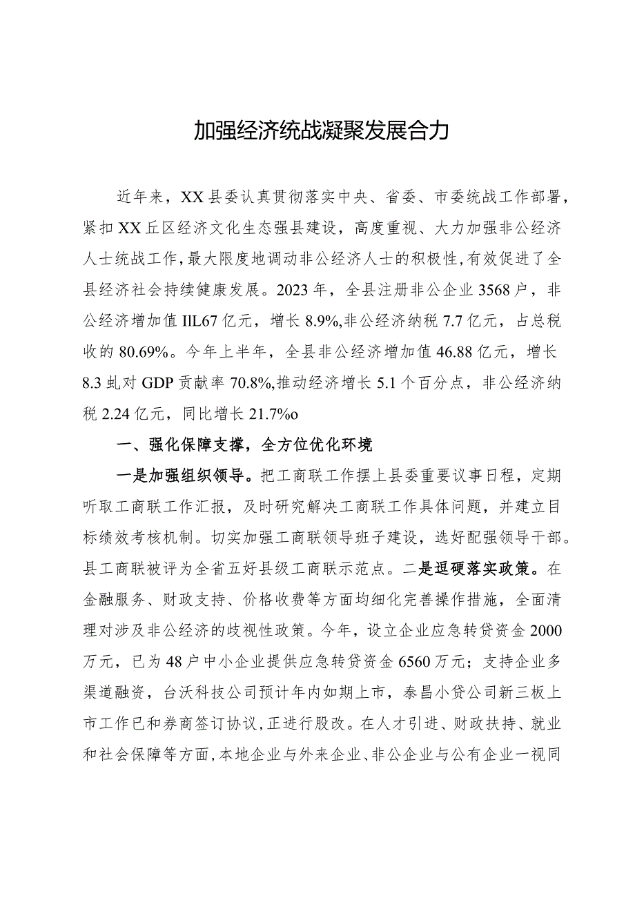 在经济统战工作会议上的汇报发言.docx_第1页