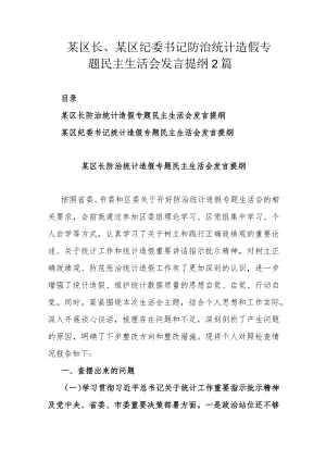 某区长、某区纪委书记防治统计造假专题民主生活会发言提纲2篇.docx