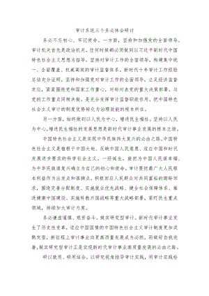 审计系统三个务必体会研讨.docx