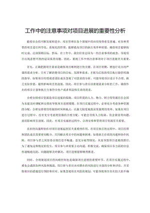 工作中的注意事项对项目进展的重要性分析.docx