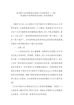 局2023年抓两新组织党建工作述职报告(二篇).docx