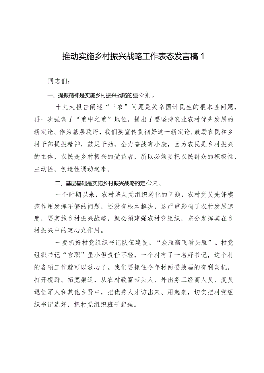 2024年推动实施乡村振兴战略工作表态发言讲话稿.docx_第1页