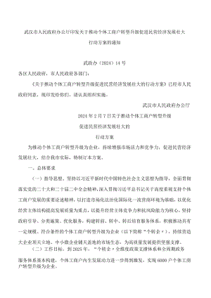 武汉市人民政府办公厅印发关于推动个体工商户转型升级促进民营经济发展壮大行动方案的通知.docx