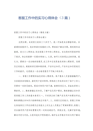 客服工作中的实习心得体会（3篇）.docx