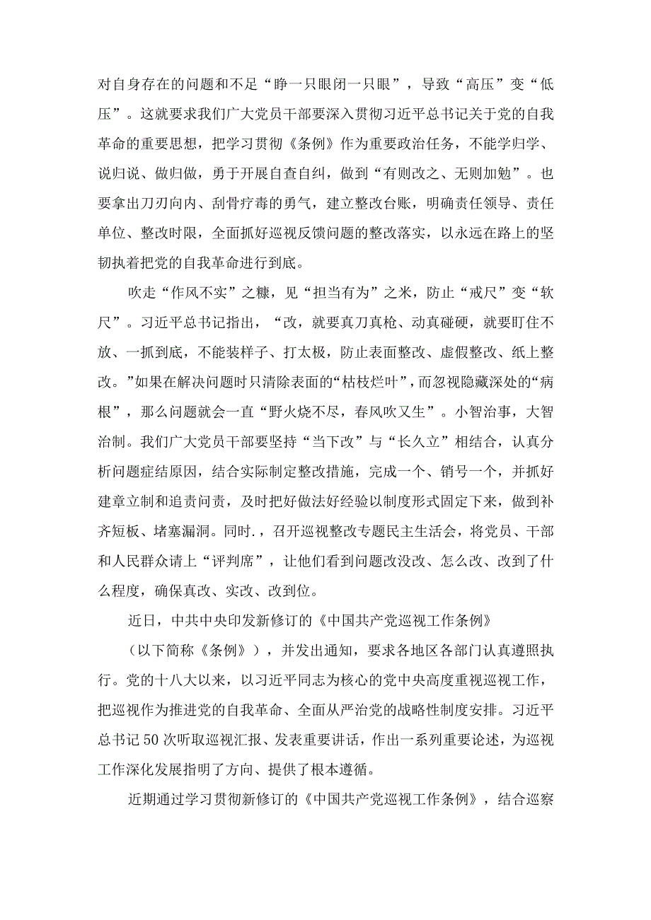 2024年学习新修订后的《中国共产党巡视工作条例》心得体会研讨发言材料十一篇.docx_第2页