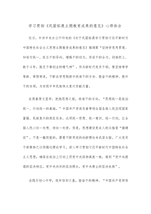 学习贯彻《巩固拓展主题教育成果的意见》心得体会.docx