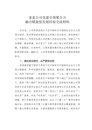 某某公司党建引领聚合力融合赋能促发展经验交流材料.docx