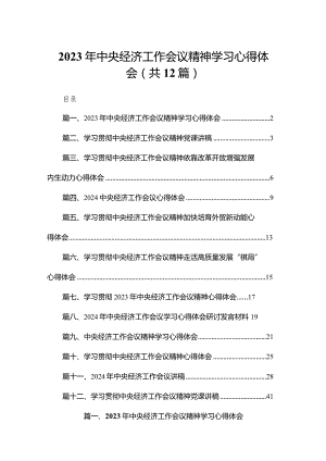 2023年中央经济工作会议精神学习心得体会12篇供参考.docx