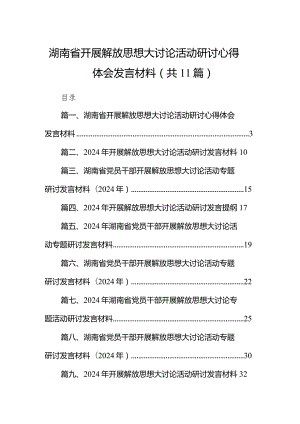 （11篇）湖南省开展解放思想大讨论活动研讨心得体会发言材料供参考.docx