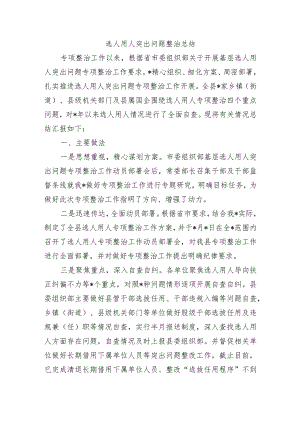 选人用人突出问题整治总结.docx