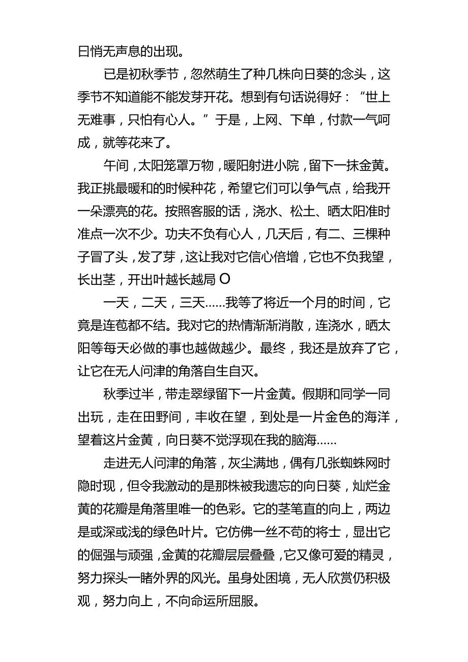 初中半命题作文《被遗忘的__》800字范文3篇.docx_第3页