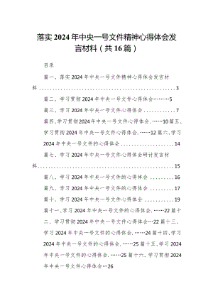 落实2024年中央一号文件精神心得体会发言材料16篇（详细版）.docx