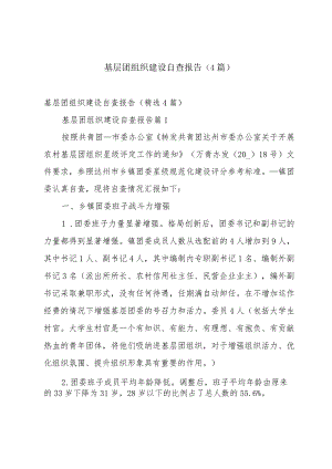 基层团组织建设自查报告（4篇）.docx