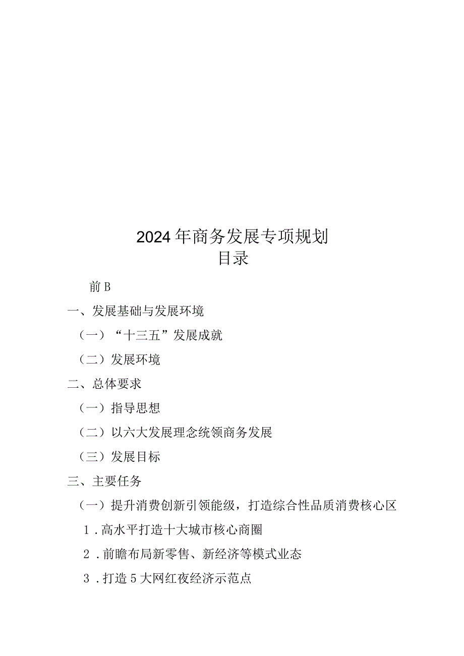 2024年商务发展专项规划.docx_第1页