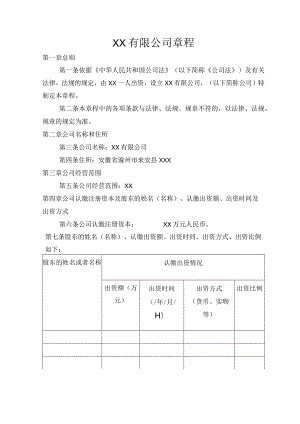 01.章程一人不设董事会不设监事会.docx