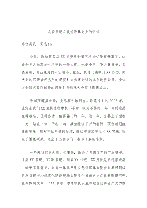 县委书记在政协开幕会上的讲话.docx