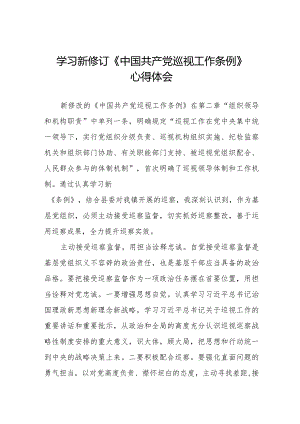 关于2024年新修订《中国共产党巡视工作条例》的心得体会五篇.docx